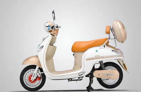 飘洋电动车加盟