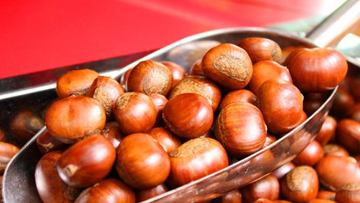 栗妃板栗加盟店