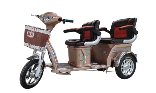 大安电动车加盟