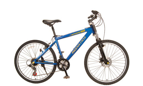 凤凰自行车加盟