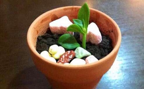 艺莎盆栽冰淇淋加盟