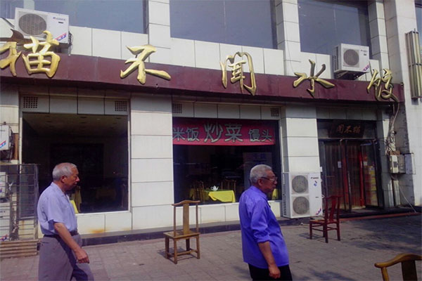猫不闻饺子