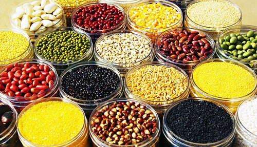 五谷杂粮养生加盟