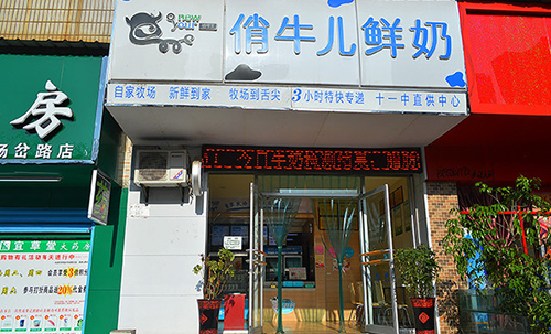 俏牛儿鲜奶加盟