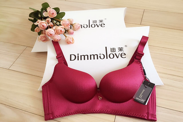 迪茉内衣加盟店