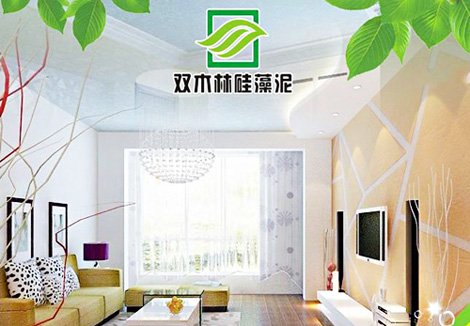 双木林硅藻泥加盟