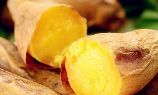 博士地瓜坊加盟