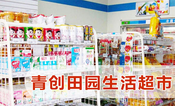 青创田园超市加盟店