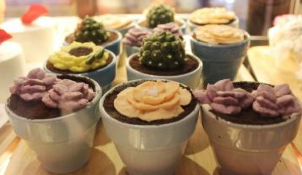 56度花盆蛋糕加盟