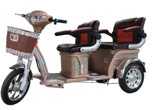 大安电动车加盟