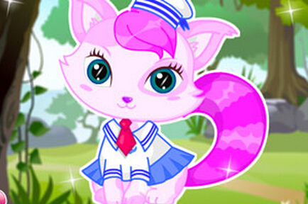 狐狸公主加盟费