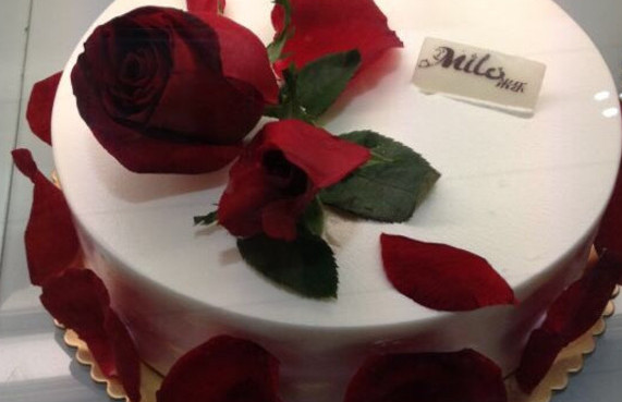 太阳之手蛋糕加盟