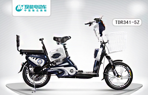 绿能电动车加盟