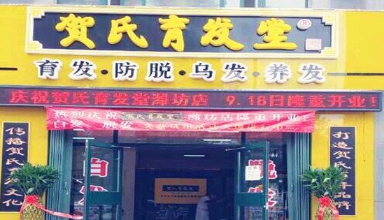 贺氏育发堂加盟