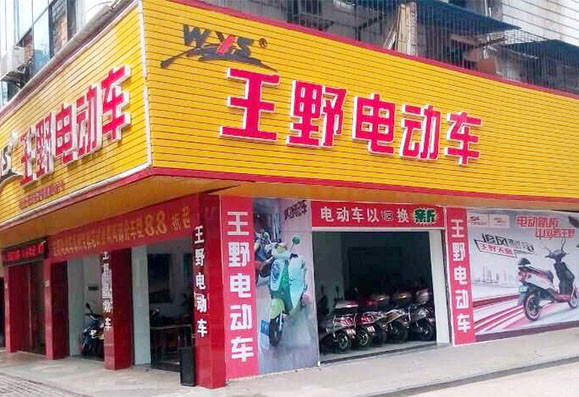 王野电动车加盟