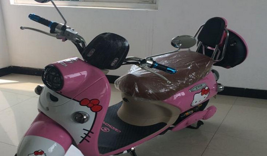 绿安琪电动车加盟