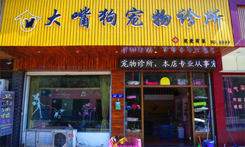大嘴狗宠物医院加盟店