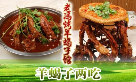 老冯烤羊蝎子加盟