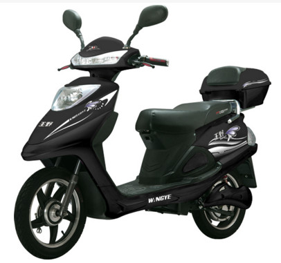 王野电动车加盟