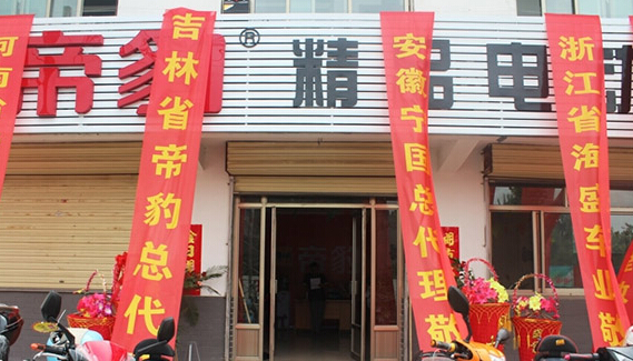 帝豹电动车加盟