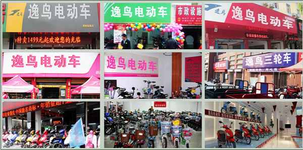 逸鸟电动车加盟店