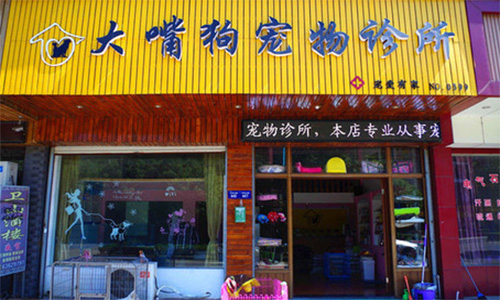 大嘴狗宠物医院加盟店