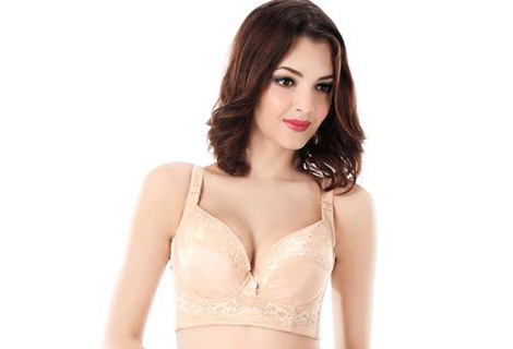 鸿姿情内衣加盟