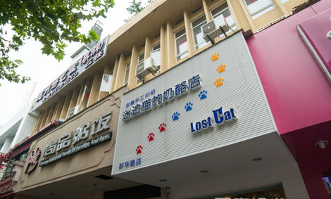 迷途猫的奶酪店加盟