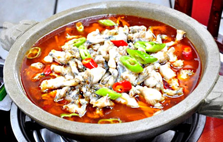 姜太公石锅鱼加盟