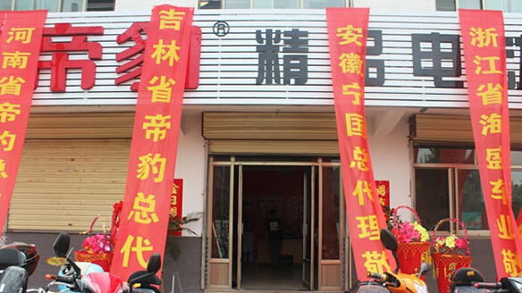 帝豹电动车加盟店