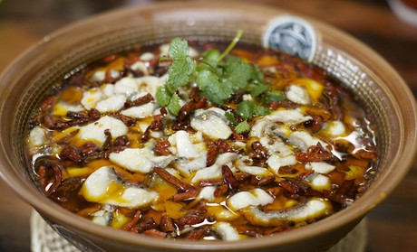 川婆婆酸菜鱼加盟