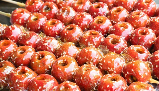 九福元老北京冰糖葫芦加盟