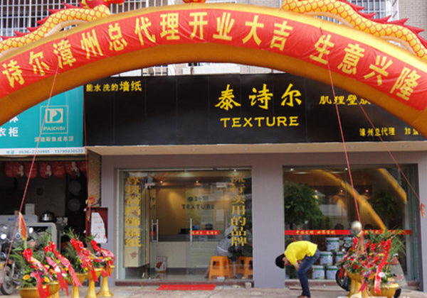 泰诗尔肌理壁膜加盟