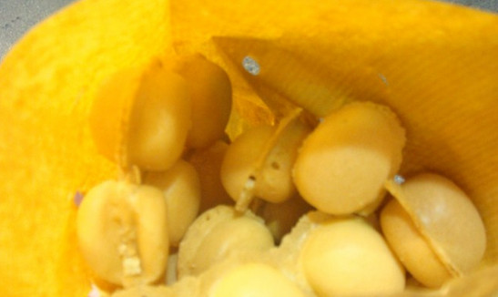 北角鸡蛋仔加盟