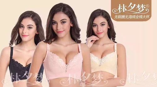 林夕梦文胸加盟