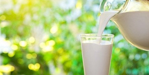 幸福牧场鲜奶吧加盟店