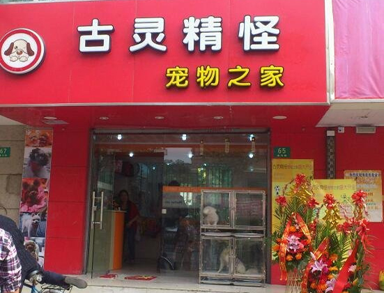 古灵精怪加盟