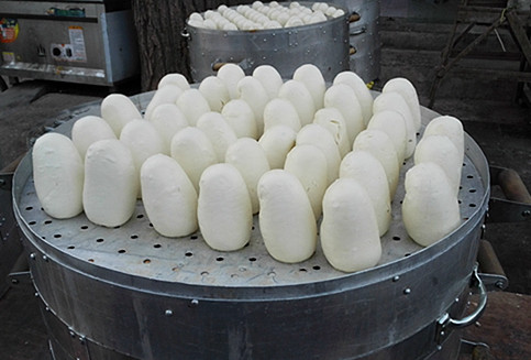 山东戗面馒头加盟店