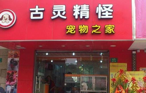 古灵精怪宠物店加盟店