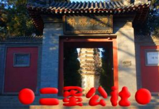 二蛋公社加盟店