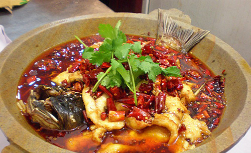 老沈家石锅鱼加盟