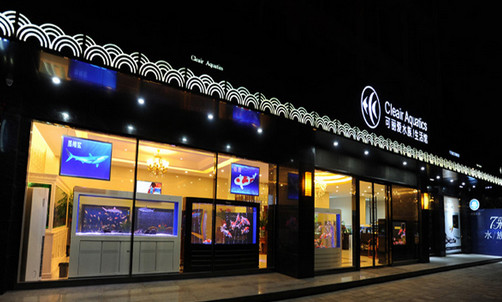 可丽爱水族加盟店
