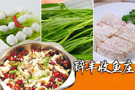 醉丰收鱼庄加盟