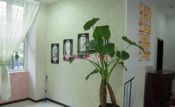 伊美雅墙衣加盟