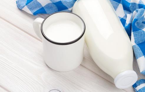 壮牛水牛奶加盟