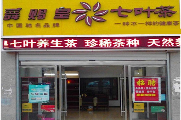 舜赐皇七叶茶加盟费
