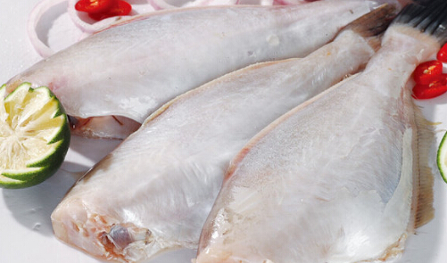 八千米深海鱼加盟