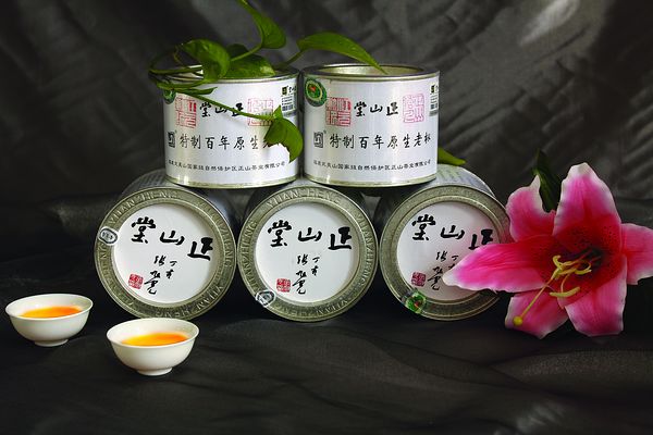 正山堂茶叶加盟