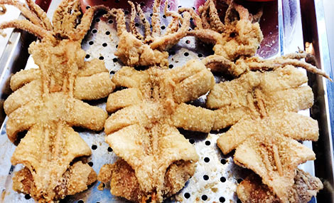 食界玩家轰炸大鱿鱼加盟