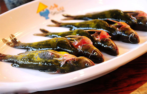 咕嘟草帽鱼加盟店